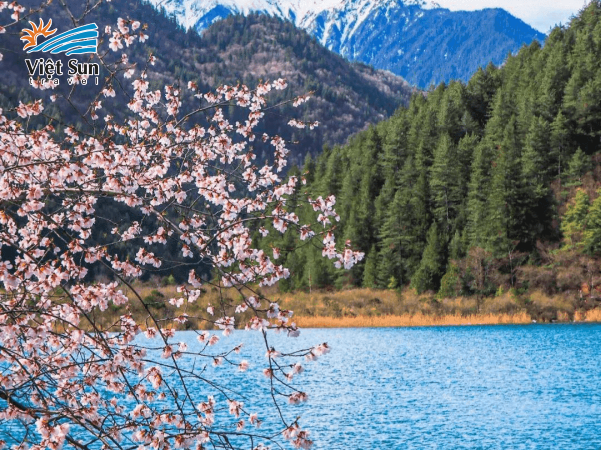 Mùa xuân tại Cửu Trại Câu với rừng cây hồi sinh và nước hồ trong xanh