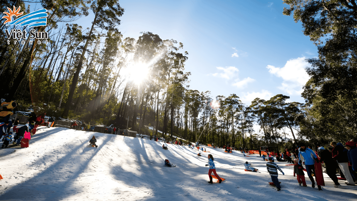 Ngắm tuyết ở thủ đô Canbeerra.Viet Sun Travel