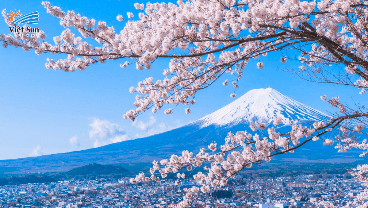 Núi Phú Sĩ Nhật Bản Viet Sun