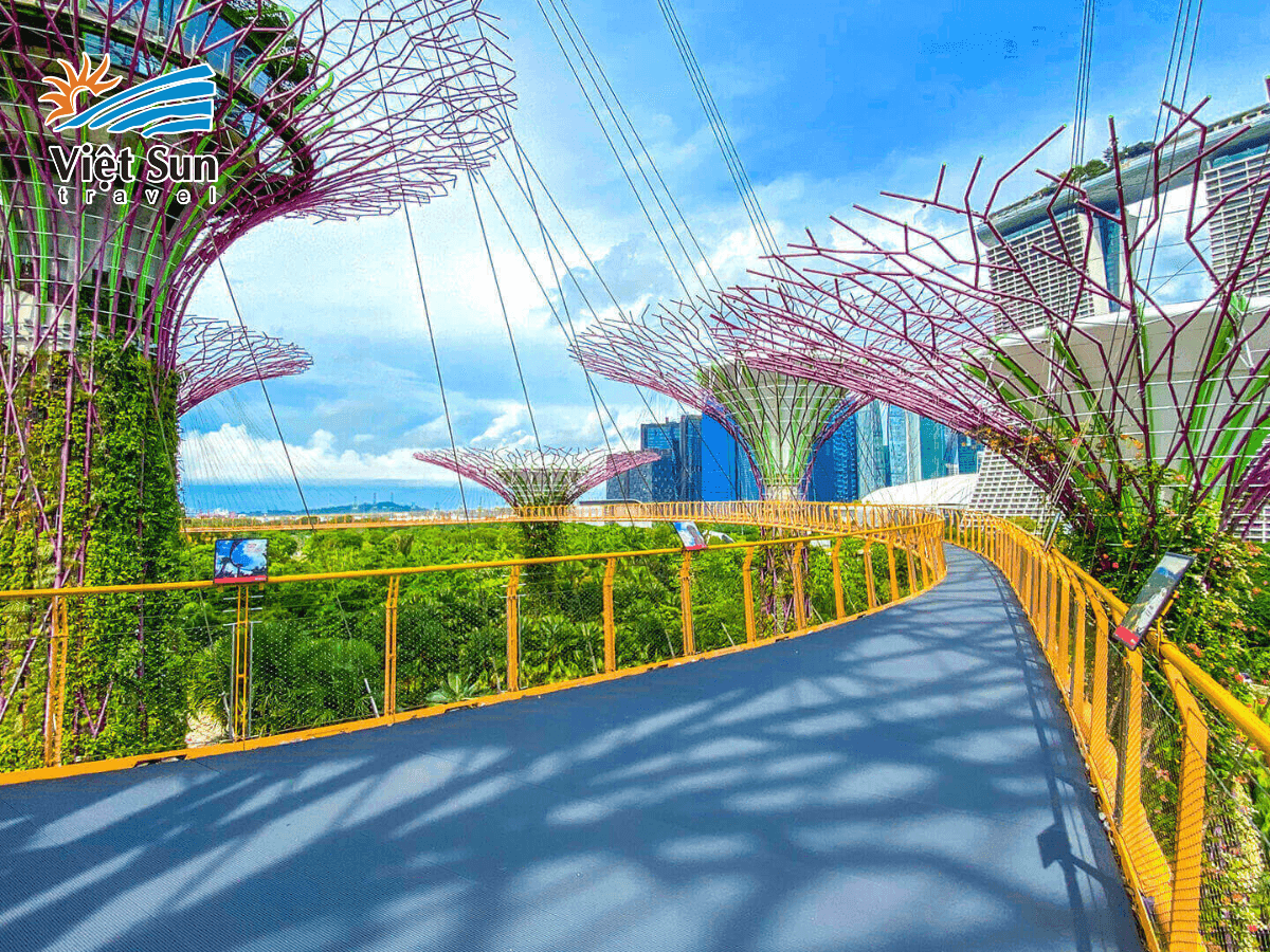 OCBC Skyway - Trải nghiệm nhất định phải thử khi đến Gardens by the Bay