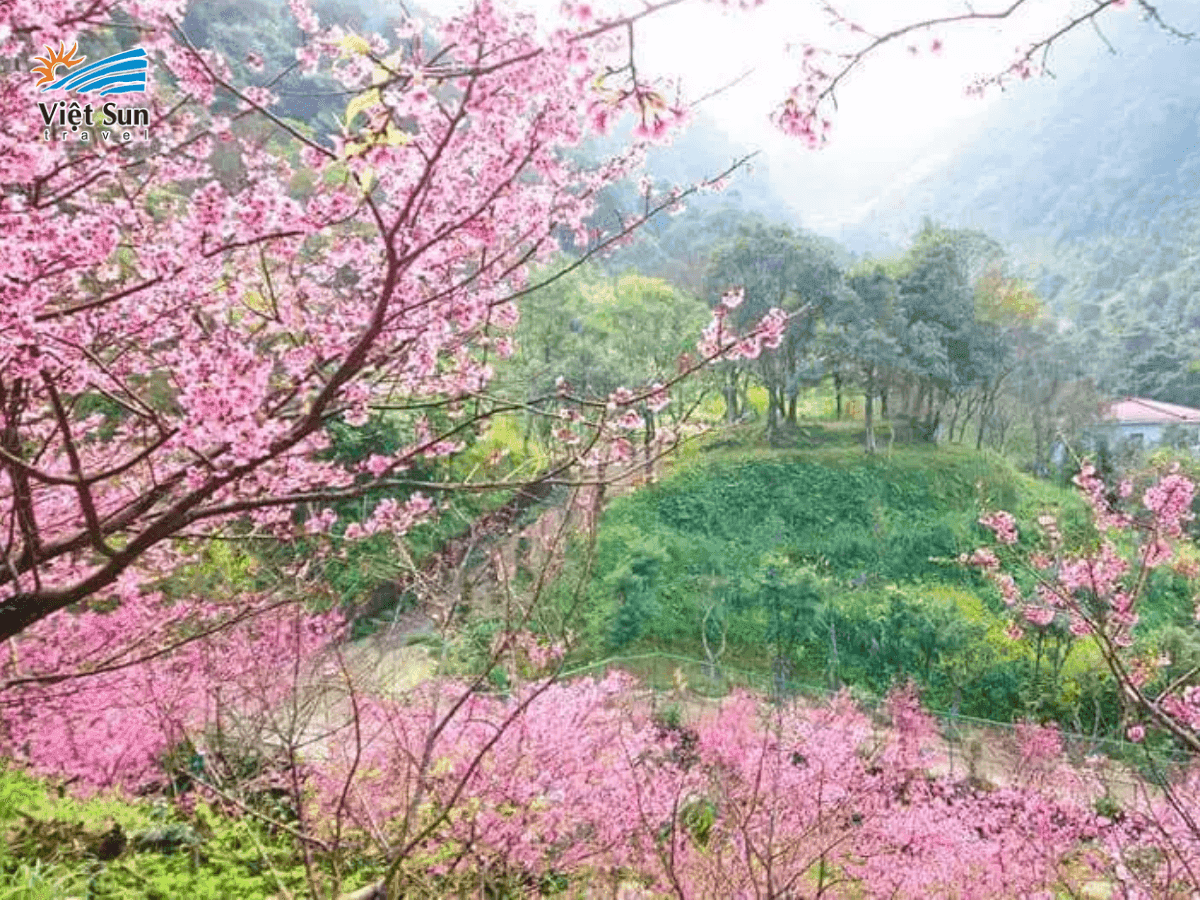Phố cổ Ô Lai là điểm đến lý tưởng cho du khách thư giãn và trải nghiệm