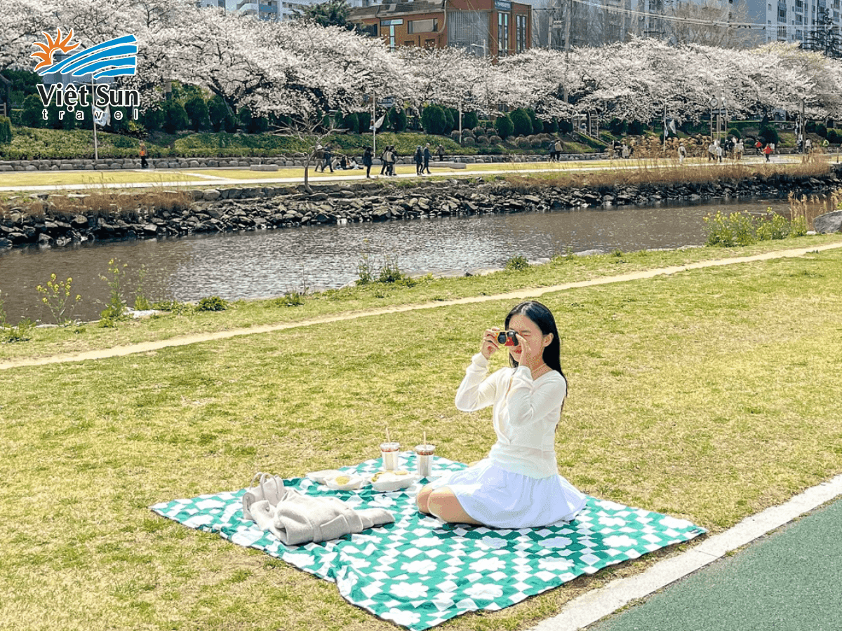 Picnic lãng mạn tại công viên Seoul Forest và ngắm cảnh mùa xuân tại bờ sông Hangang