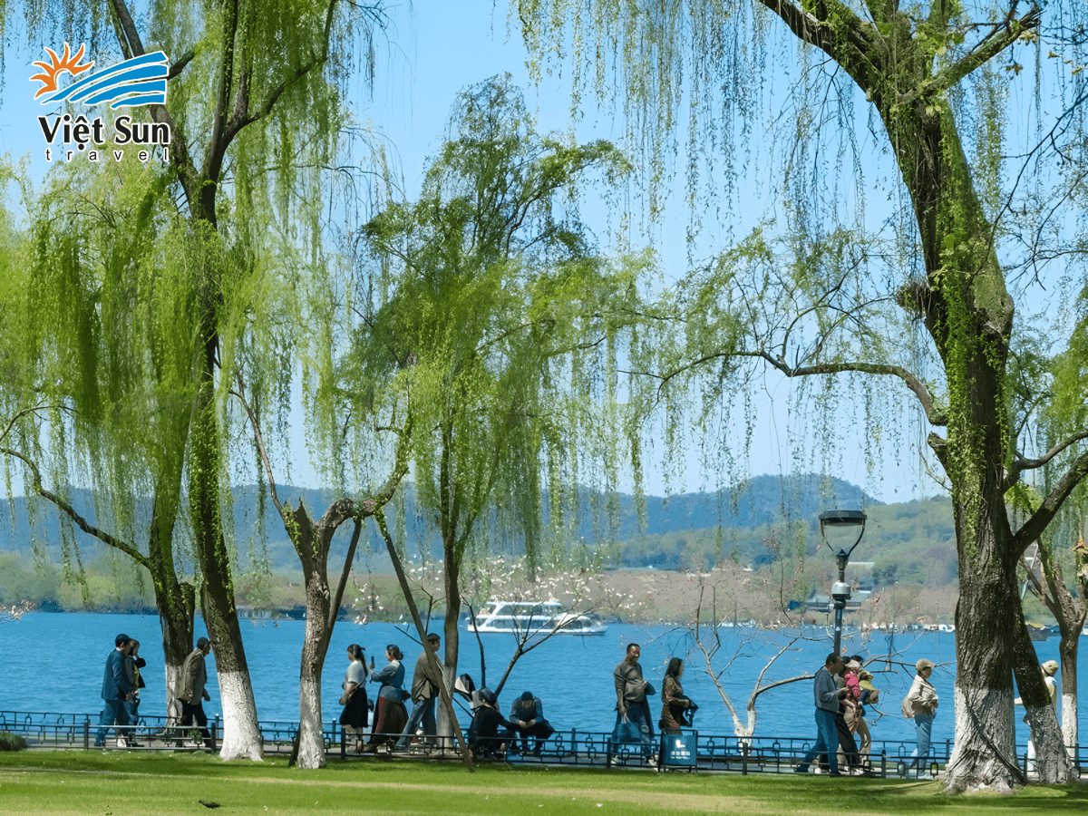 Rặng liễu mềm mại bên hồ, rộn ràng tiếng chim đầu xuâ.png