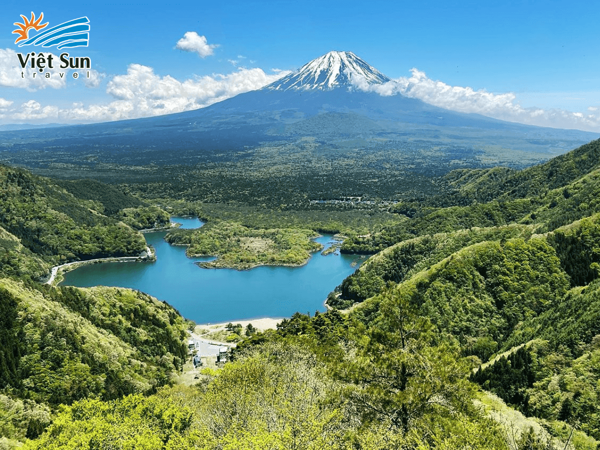 Rừng Aokigahara, không gian tĩnh lặng đầy huyền bí