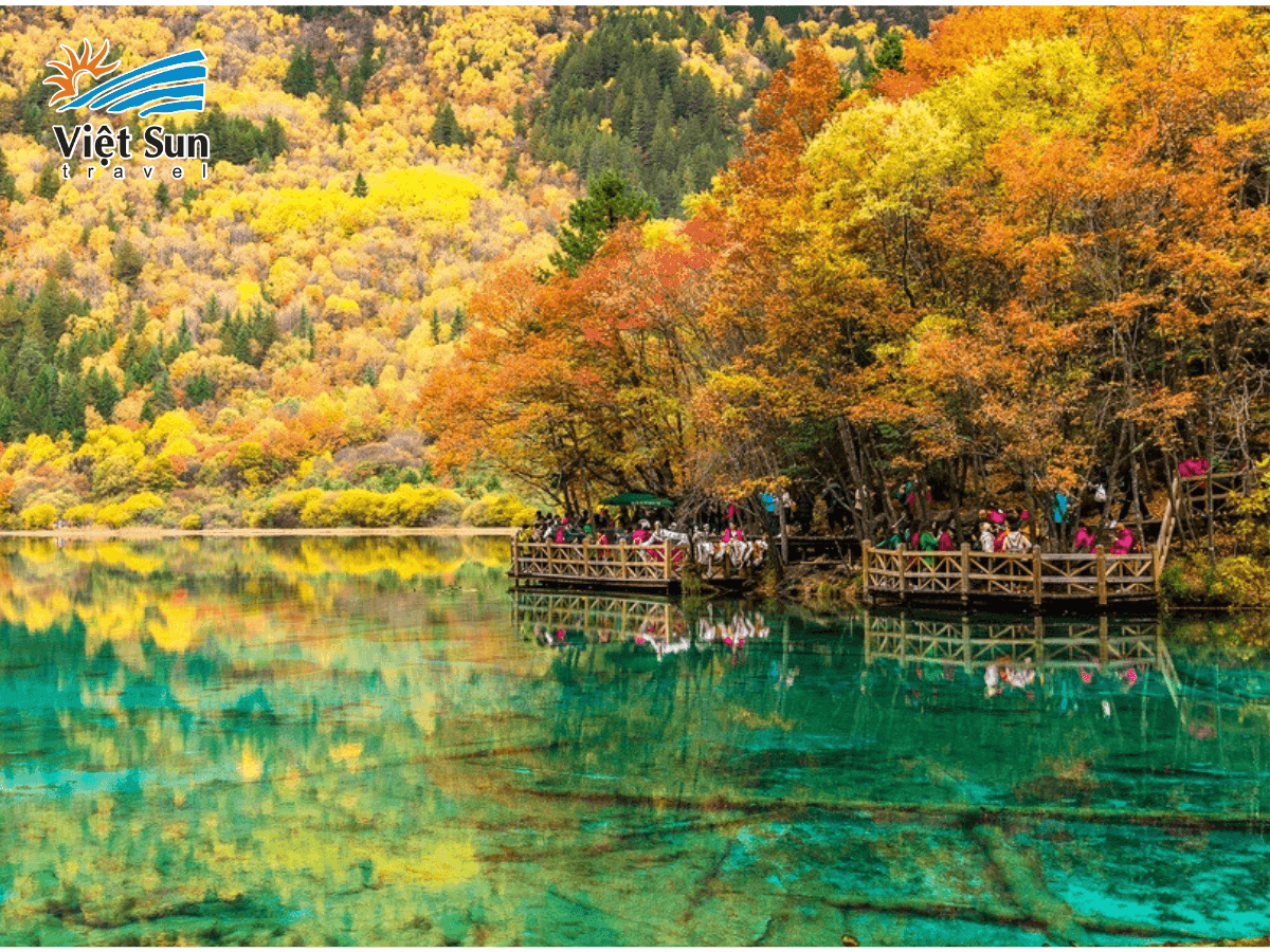 Rừng thu tại Cửu Trại Câu chuyển màu rực rỡ tạo nên cảnh sắc tuyệt mỹ