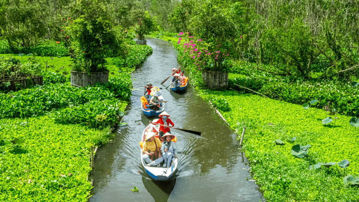 Rừng tràm trà sư