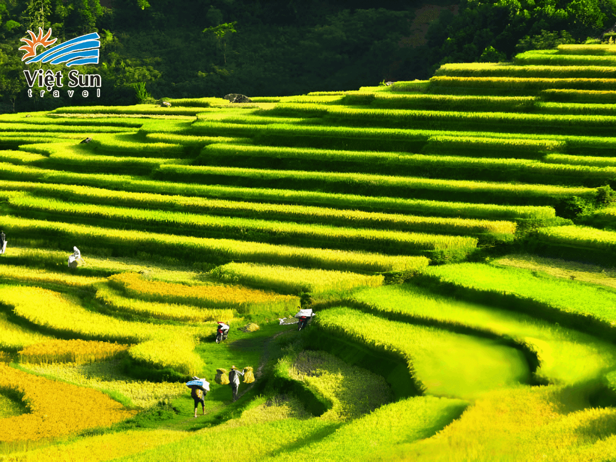 Ruộng bậc thang và nhà sàn giữa núi rừng Pù Luông