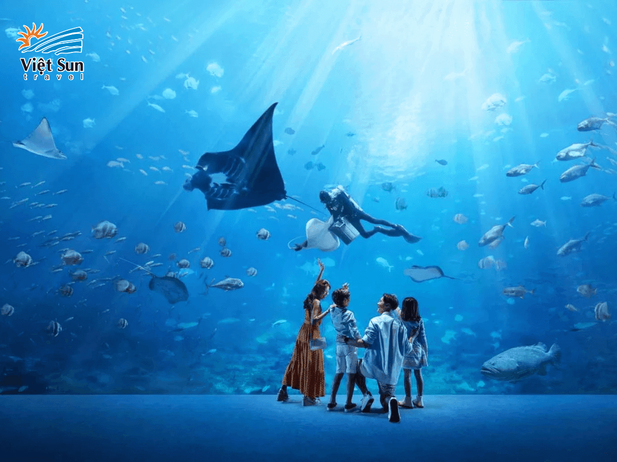 S.E.A Aquarium - Một trong những thủy cung lớn nhất thế giới với đa dạng sinh vật biển