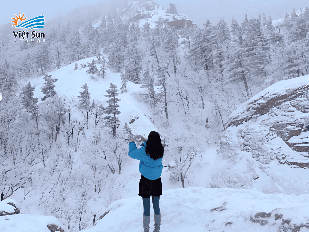 Seoraksan mùa đông, rừng thông phủ tuyết tạo nên cảnh quan ngoạn mục