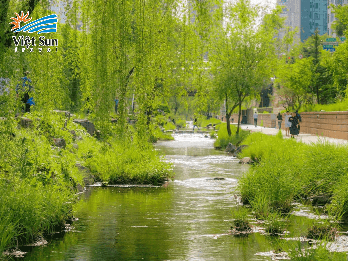 Suối Cheonggyecheon – trái tim xanh giữa lòng Seoul