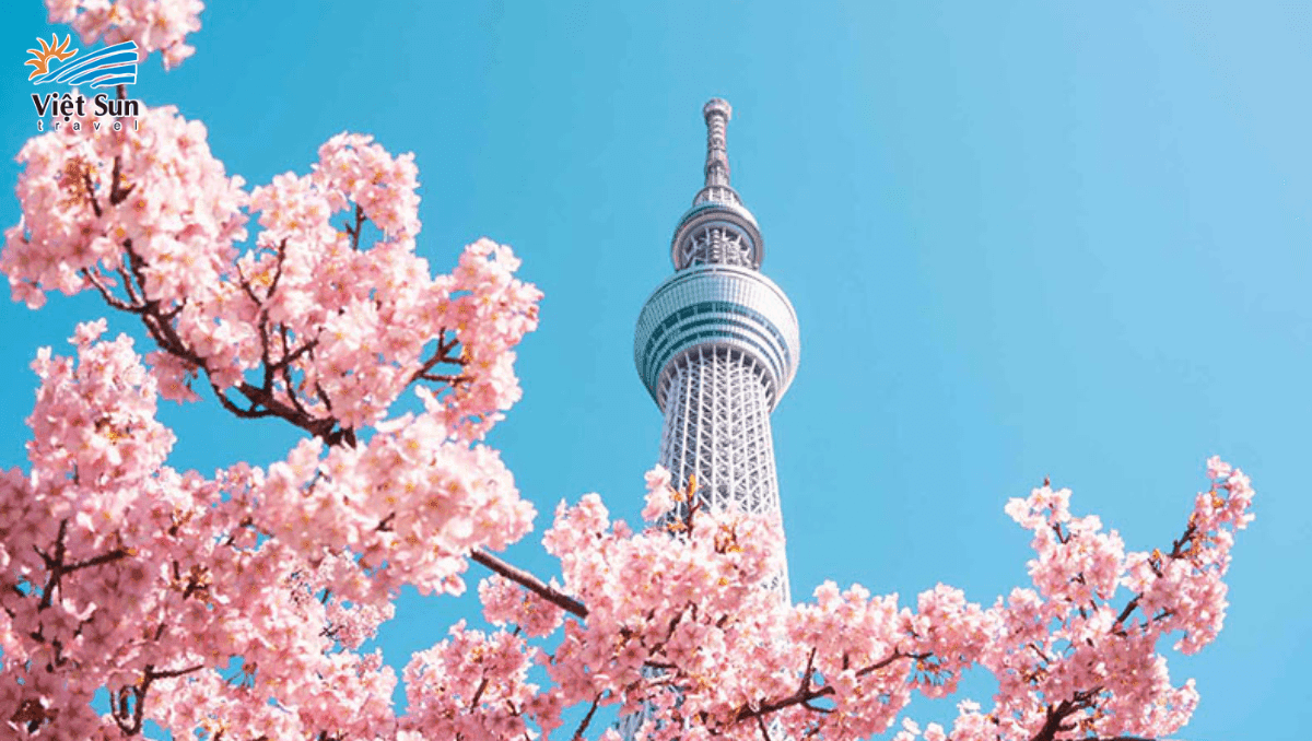 Tháp truyền hình Tokyo Sky Tree Nhật Bản Viet Sun