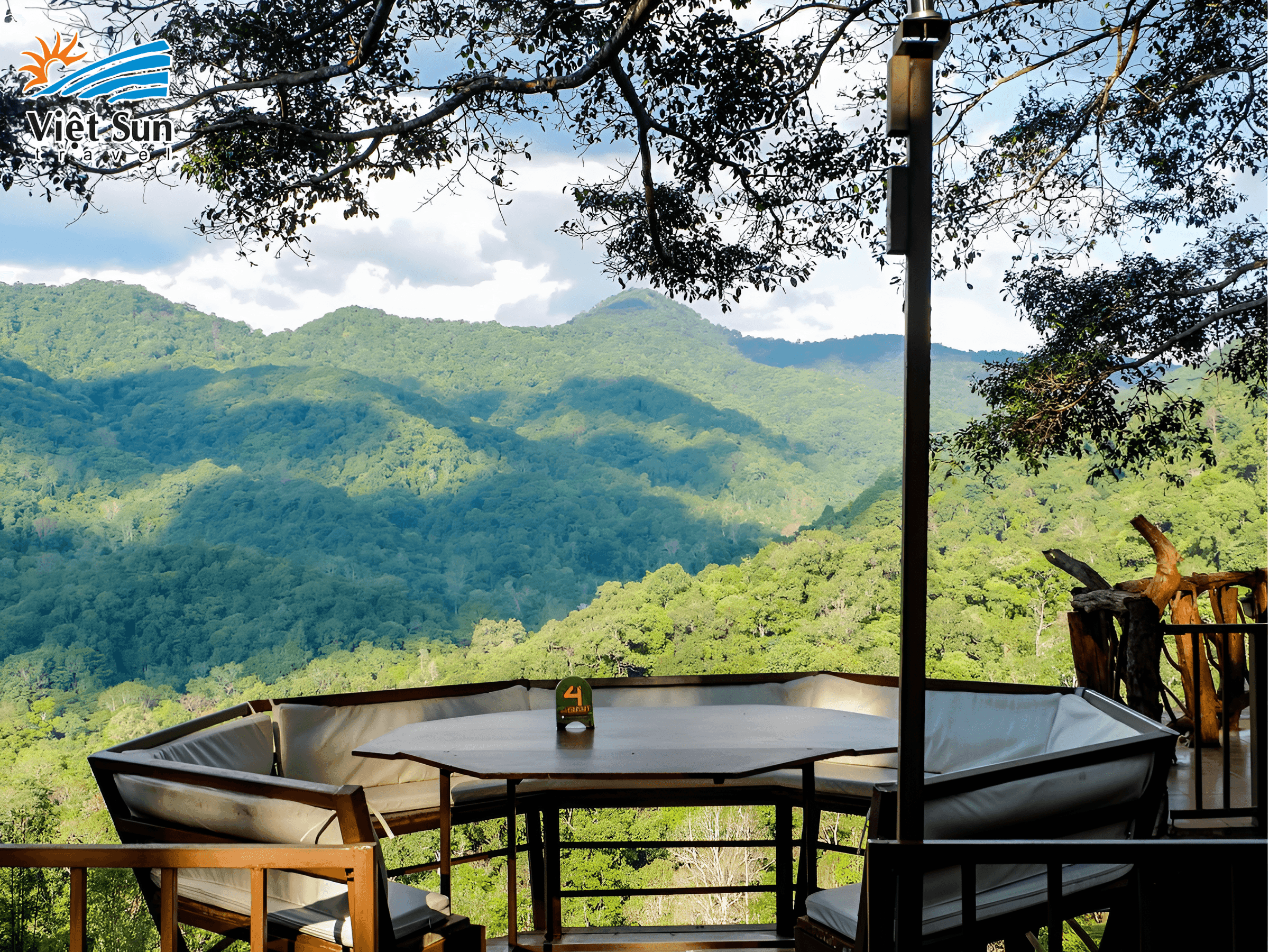 The Giant Chiang Mai - Cà phê trên cây giữa thiên nhiên tuyệt đẹp-Picsart-AiImageEnhancer.png