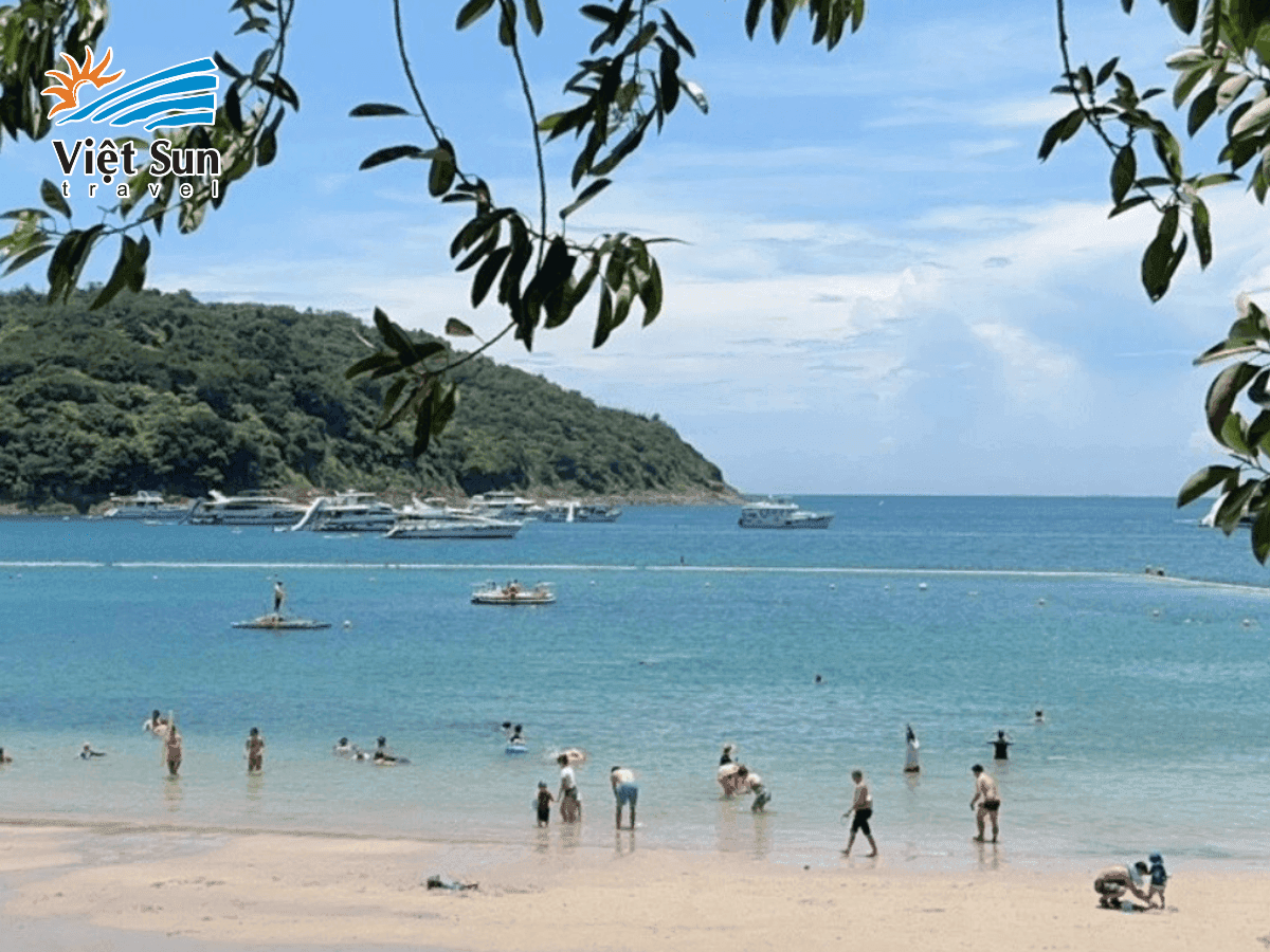 Thư giãn và tắm biển Repulse Bay dưới nắng vàng