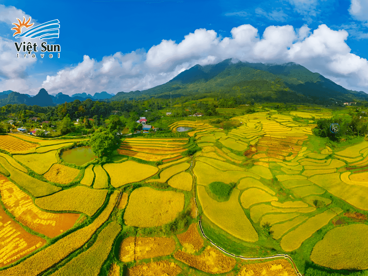 Thung lũng Bắc Sơn mùa lúa chín, nhìn từ đỉnh núi Nà Lay