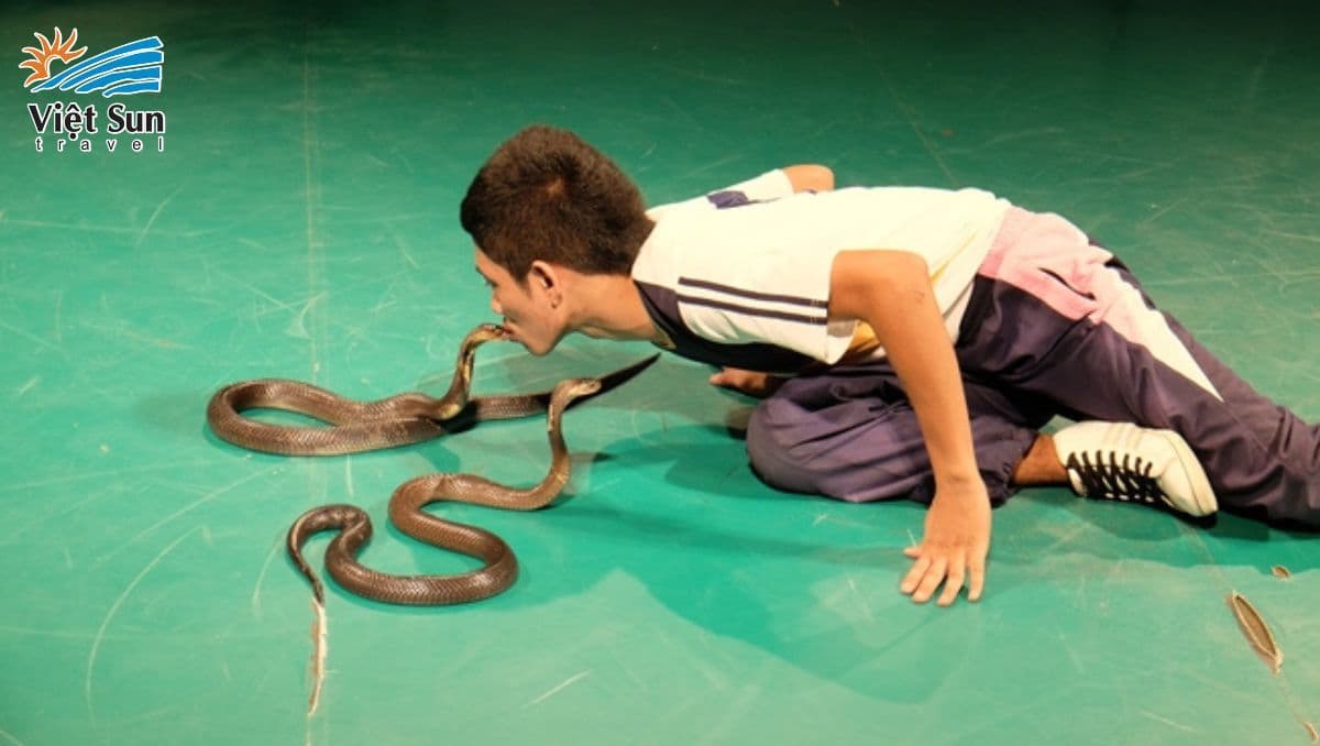 Thưởng thức chương trình biểu diễn bắt rắn Viet Sun Travel