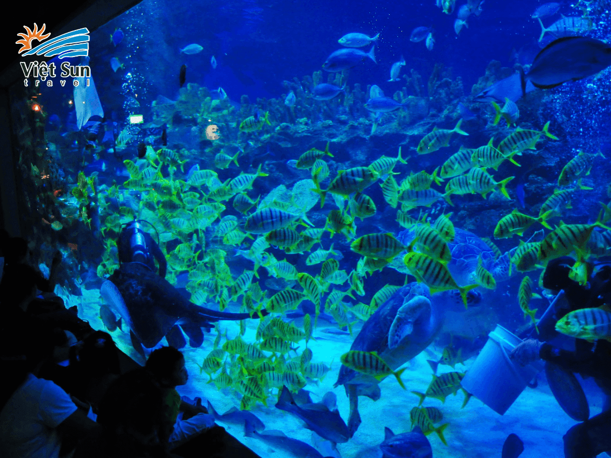 Thủy cung Aquaria KLCC - Điểm tham quan hấp dẫn được nhiều du khách ghé thăm