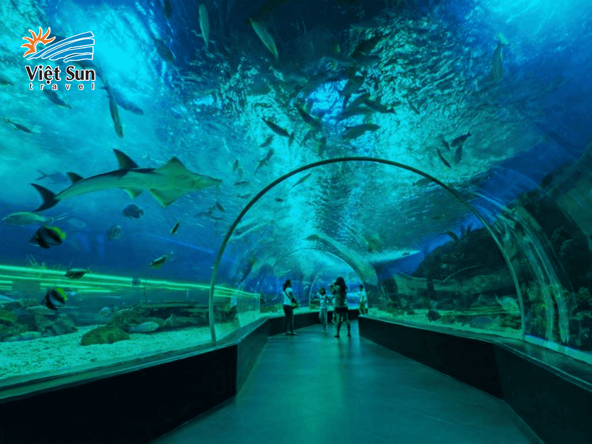 Thủy cung Aquaria KLCC - Thế giới đại dương đa dạng tại Kuala Lumpur
