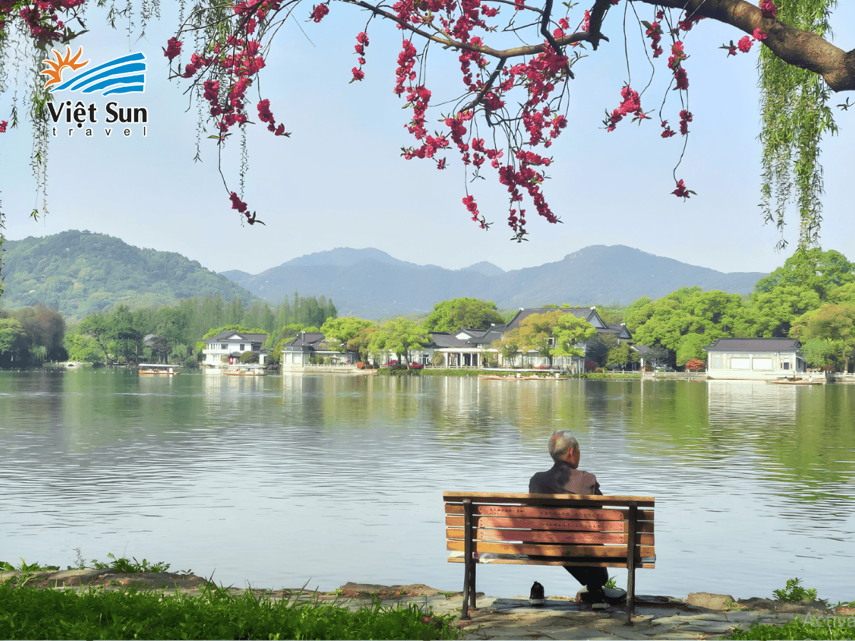 Tô Đê mùa xuân – hoa và liễu soi bóng nước, vẽ nên lối đi mộng mơ