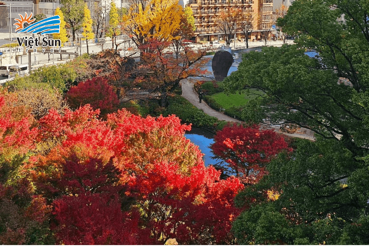 Tokyo mùa thu – Mê mẩn sắc lá đỏ và không khí lãng mạn.