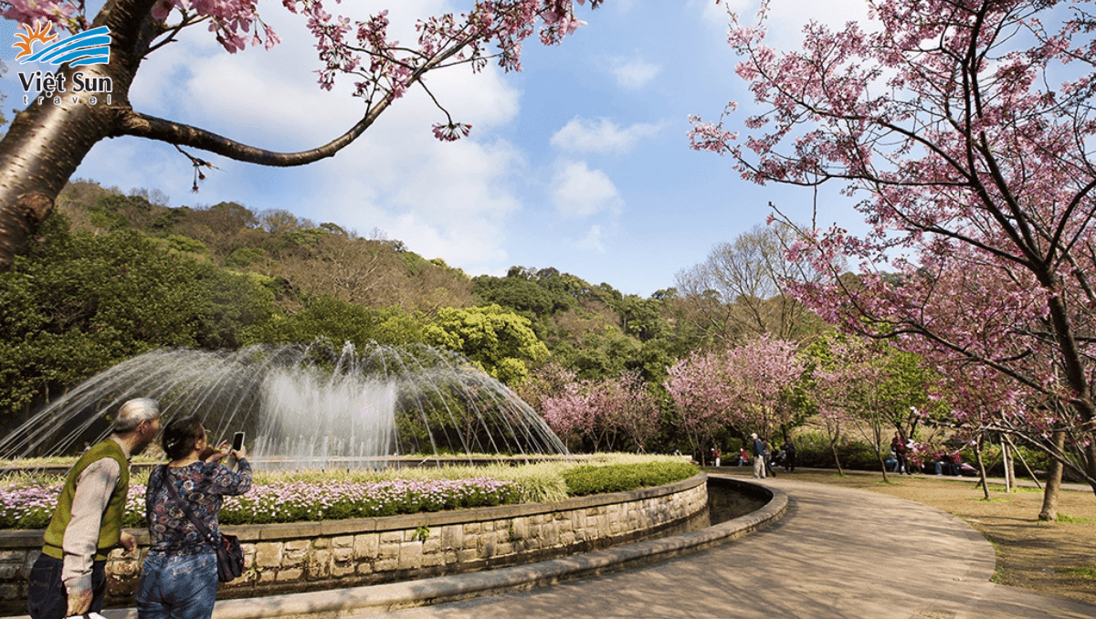 Tour Đài Loan tham quan Công viên Dương Minh Sơn