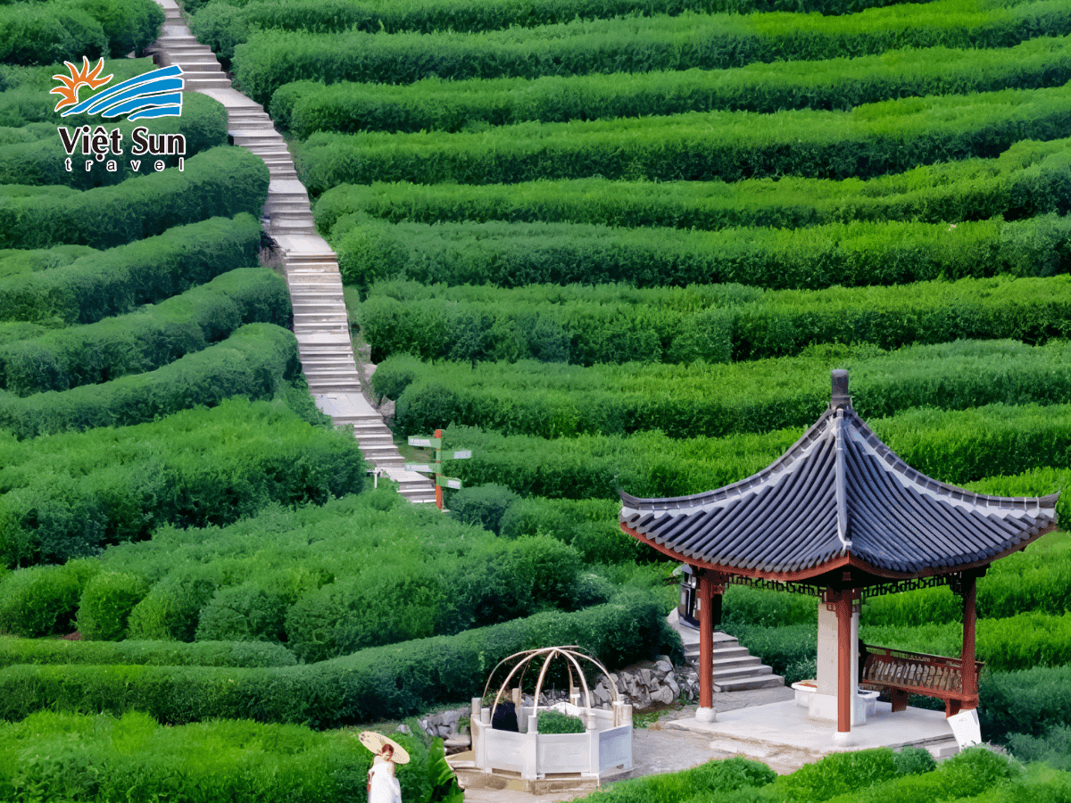 Trà Viên Long Tĩnh – nơi sản sinh ra “đệ nhất danh trà” của Trung Hoa