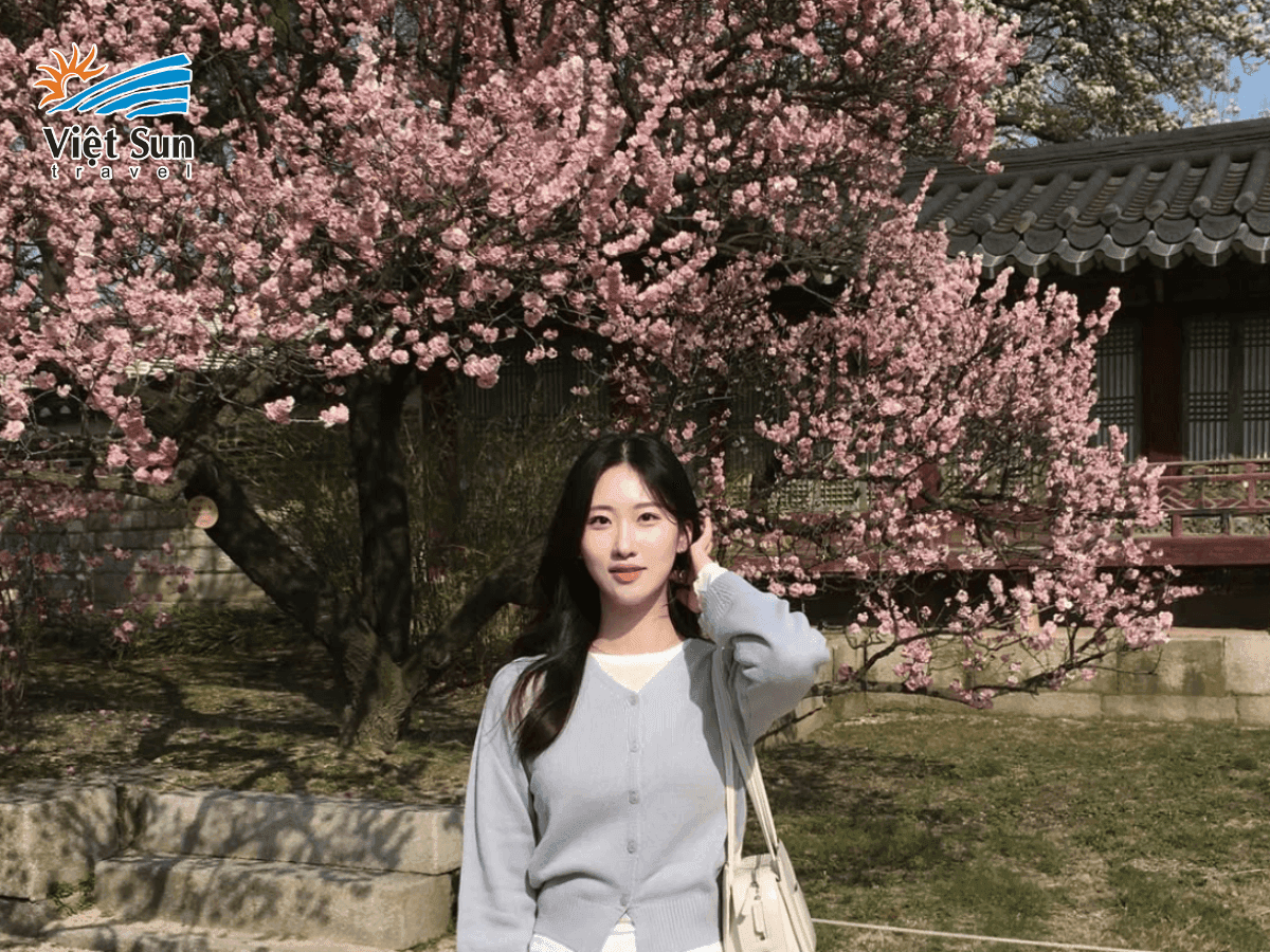 Dạo bước trong khuôn viên của cung điện cổ kính Gyeongbokgung