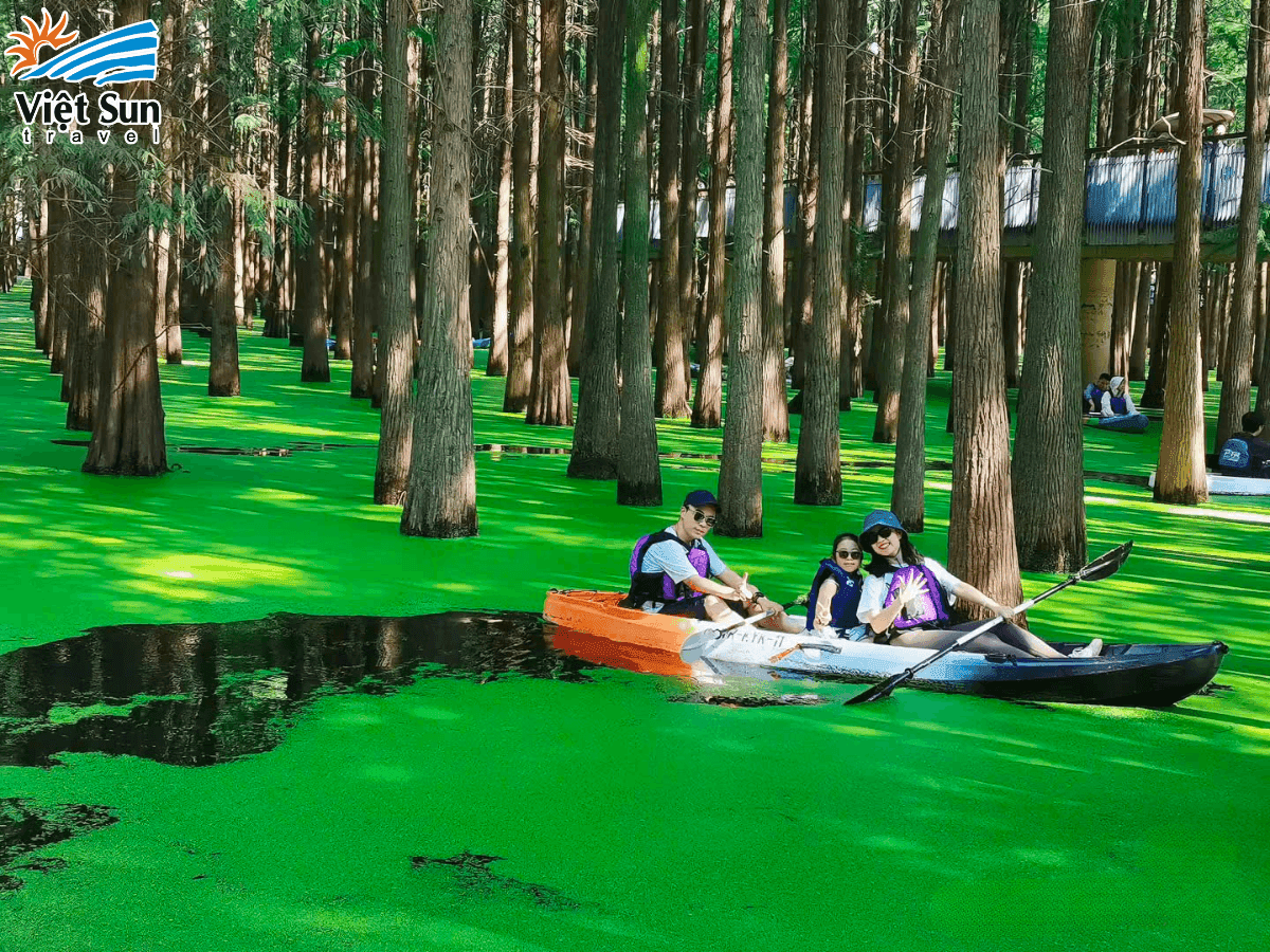 Trải nghiệm chèo thuyền giữa rừng nước “Hồ Matcha”