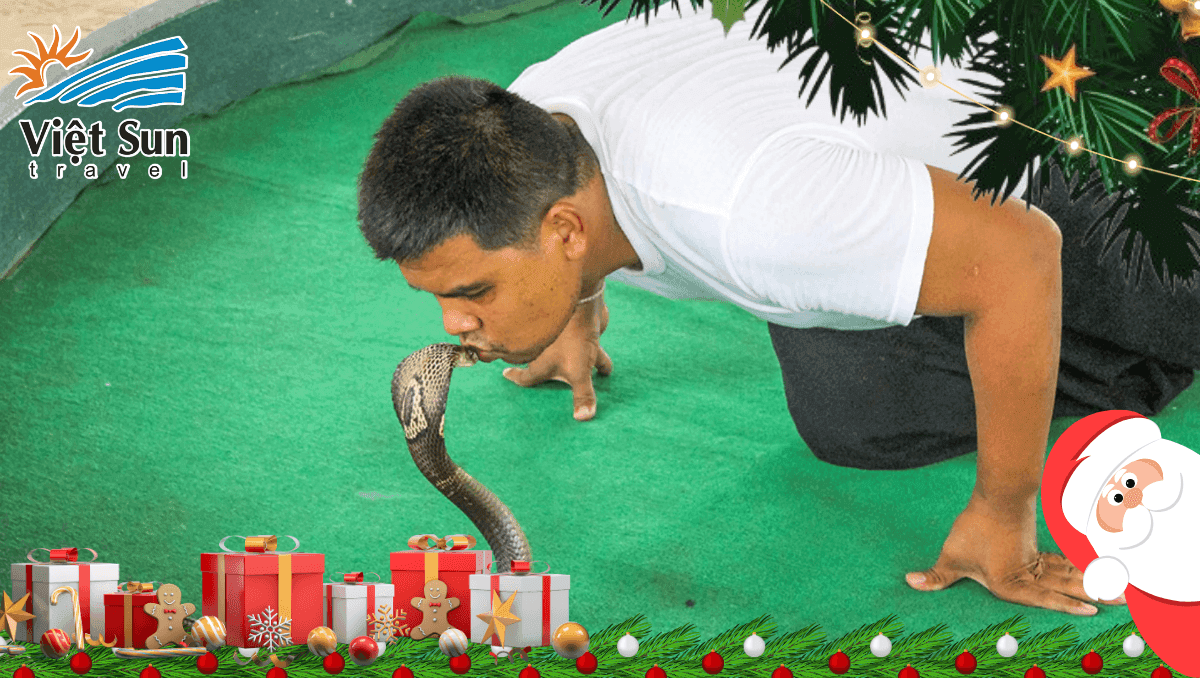 Trung tâm rắn độc Thái Lan