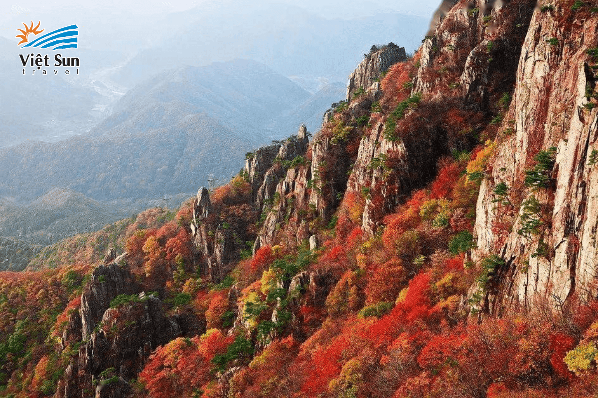 Trương Gia Giới rực rỡ mùa thu với những rặng cây chuyển sắc đầy mê hoặc