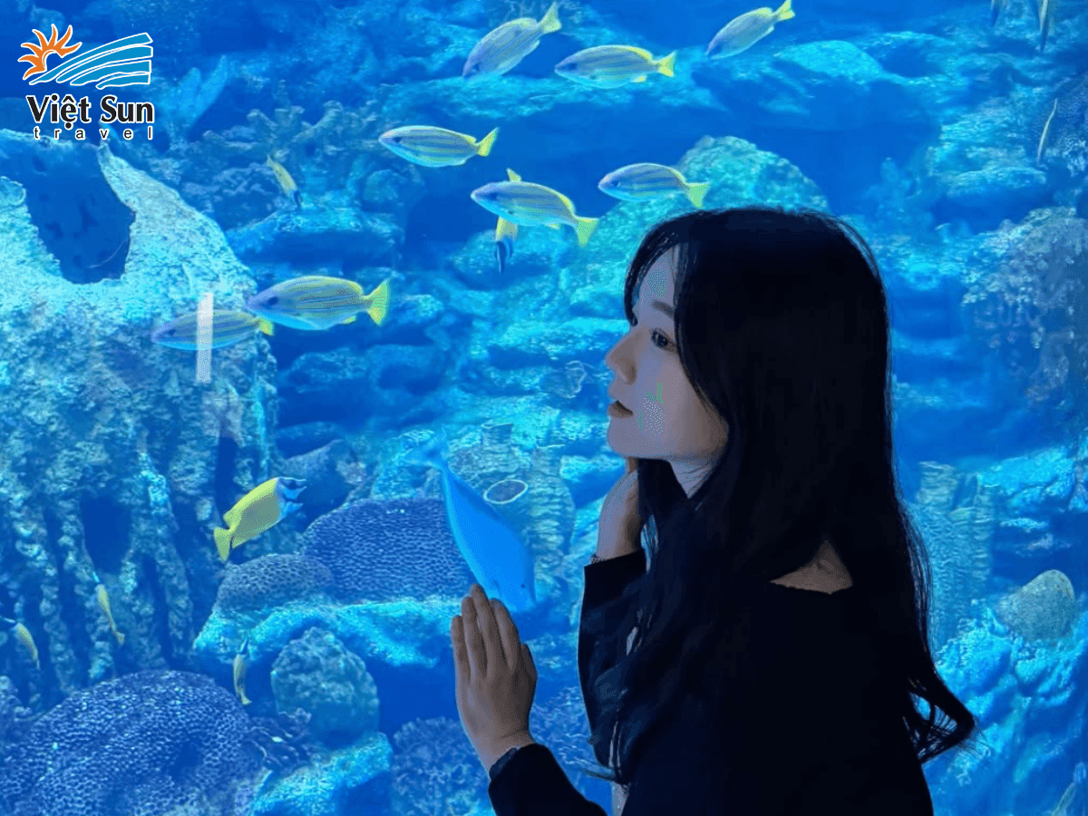 Viện hải dương học Busan – thế giới đại dương sống động tại Busan