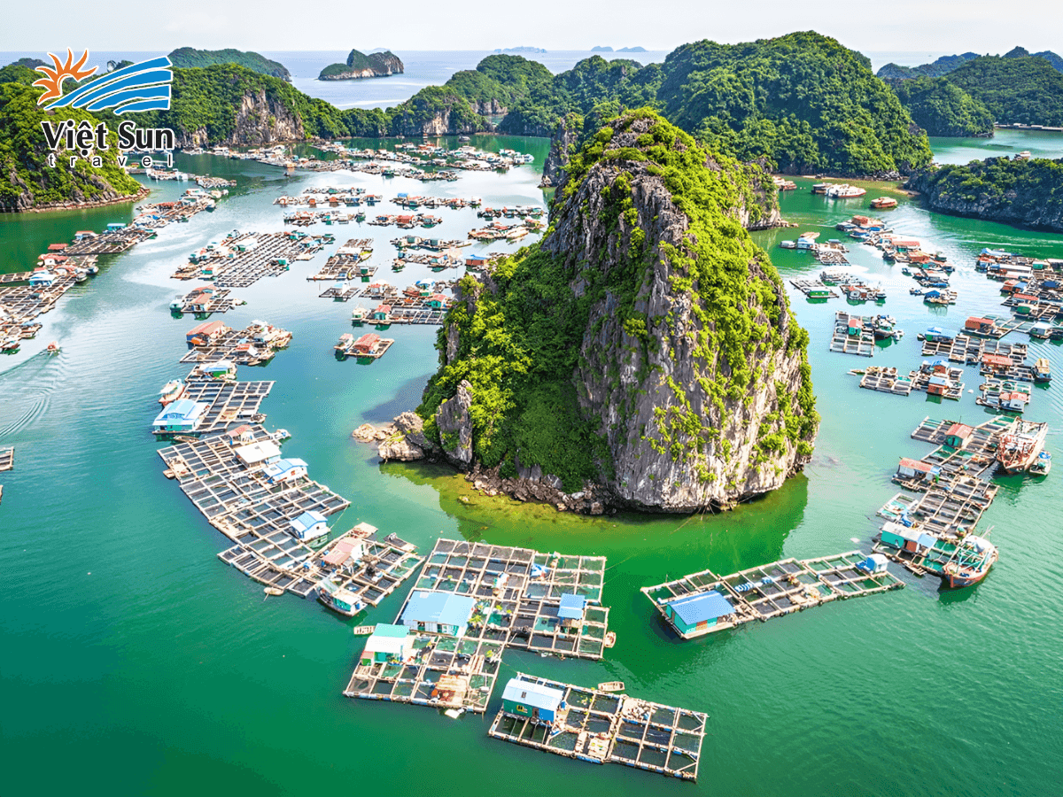 Vịnh Lan Hạ, viên ngọc xanh thẳm của đảo Cát Bà