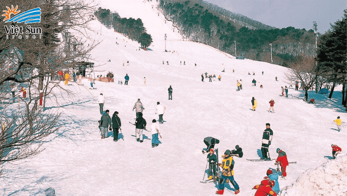 Vui chơi tại Fujiten Snow Park