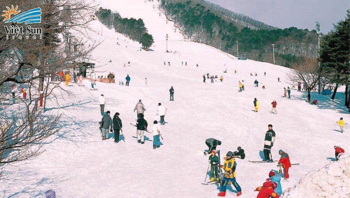 Vui chơi tại Fujiten Snow Park