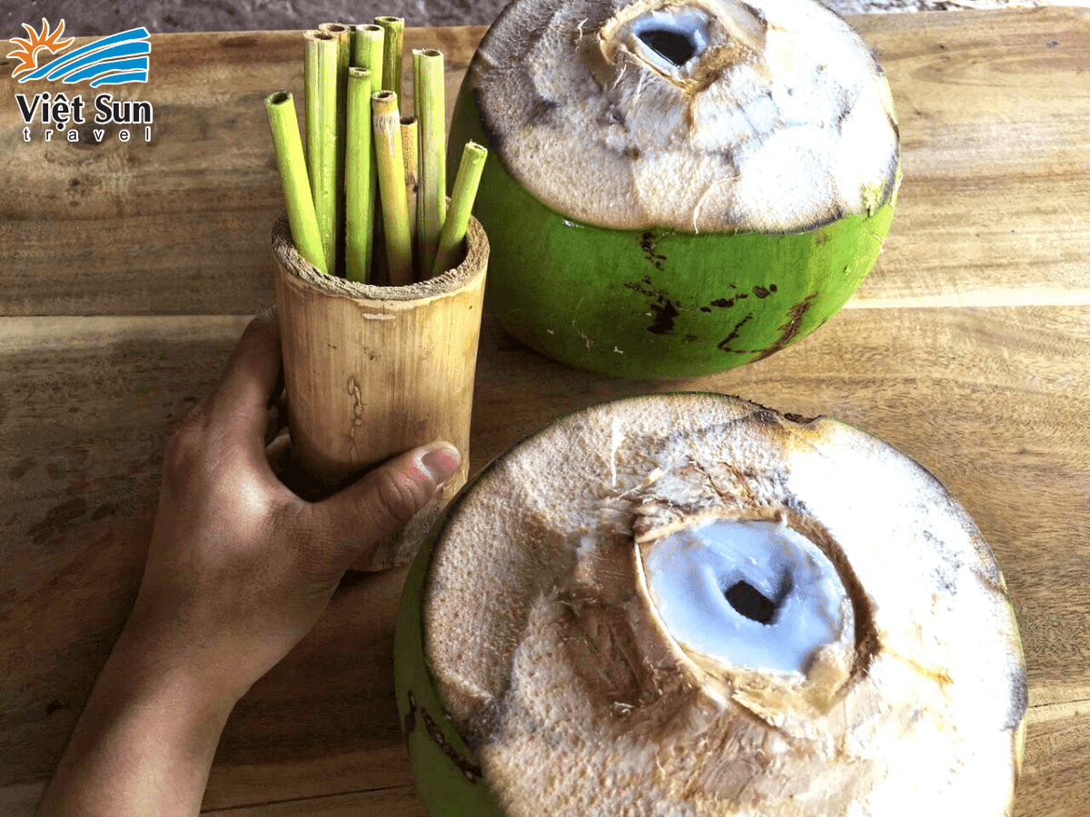 Vườn dừa Bé Thảo - Cồn Chim