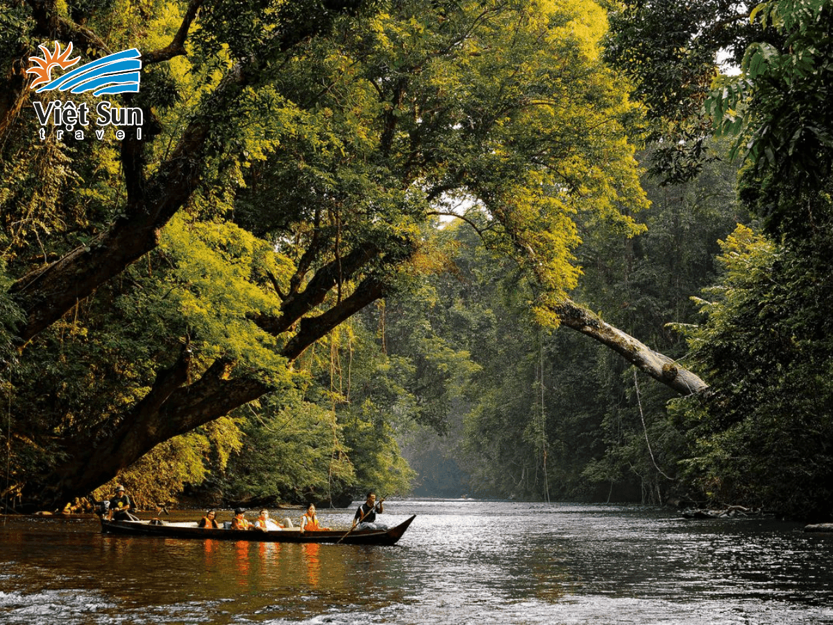 Vườn quốc gia Taman Negara - rừng mưa nhiệt đới lâu đời nhất thế giới