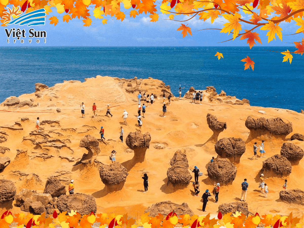 check in công viên dã liễu tour đài loan.png