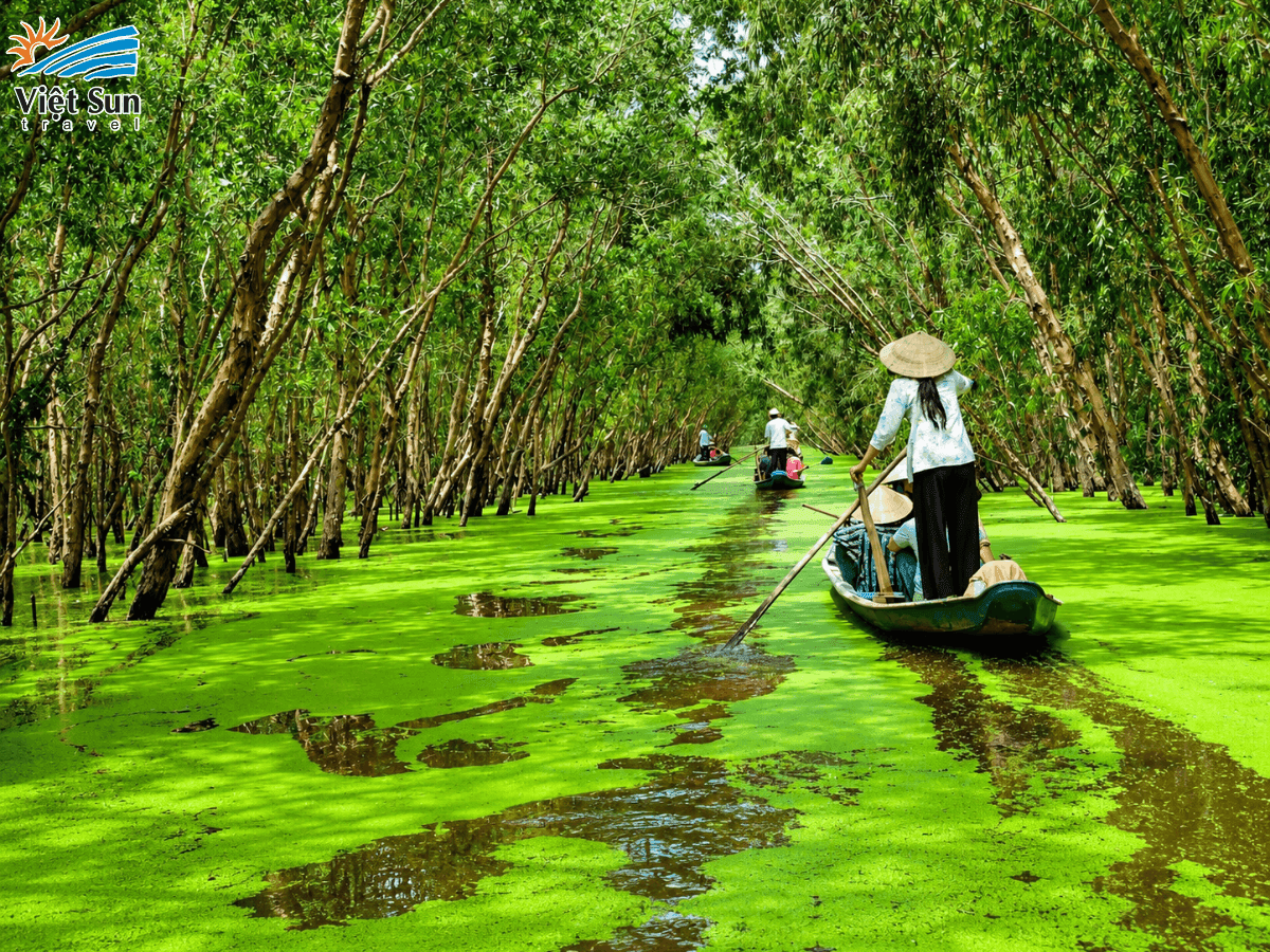 chèo xuồng ở rừng tràm trà sư