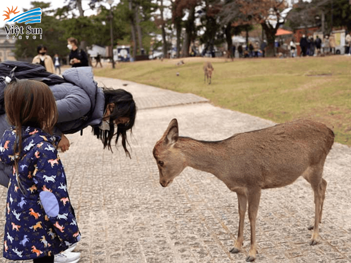 deer bow.png