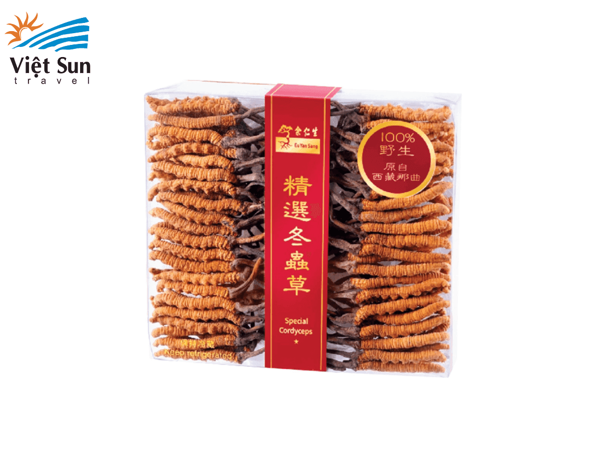 đông trùng hạ thảo HK.png