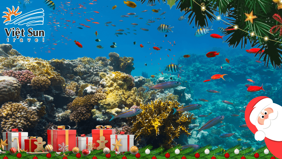 du lịch Pattaya check in đảo Coral