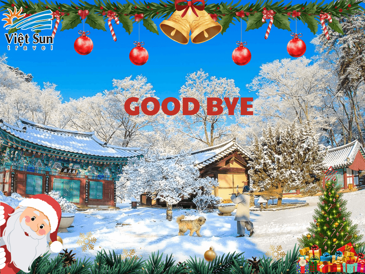 du lịch hàn quốc viet sun travel