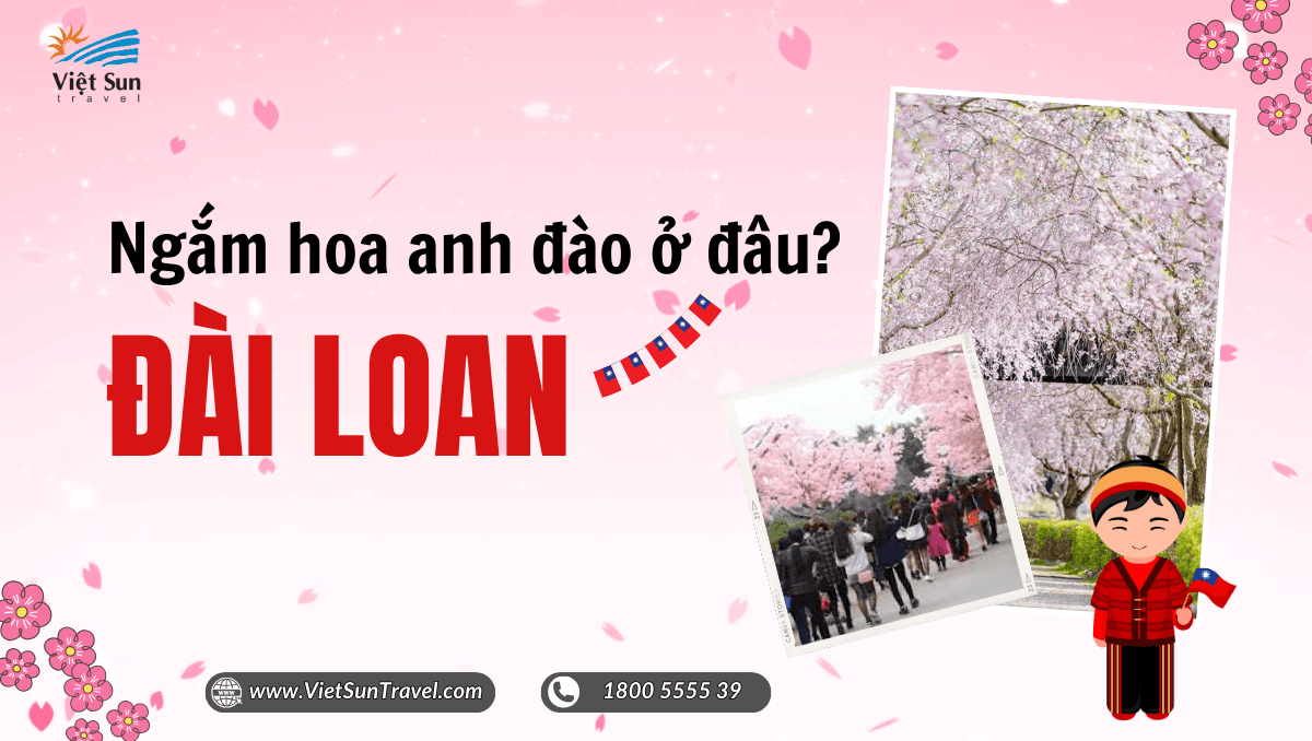 Tour du lịch Đài Loan ngắm hoa anh đào 2024